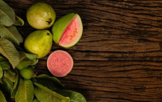 What Does Guava Fruit Taste Like? Does it Taste Good?