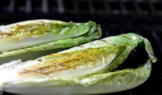 What to Serve with Grilled Romaine Lettuce? 10 BEST Side Dishes