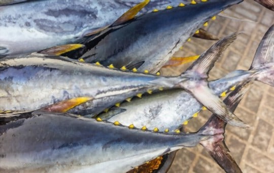 What Does Yellowfin Tuna Taste Like? Does it Taste Good?