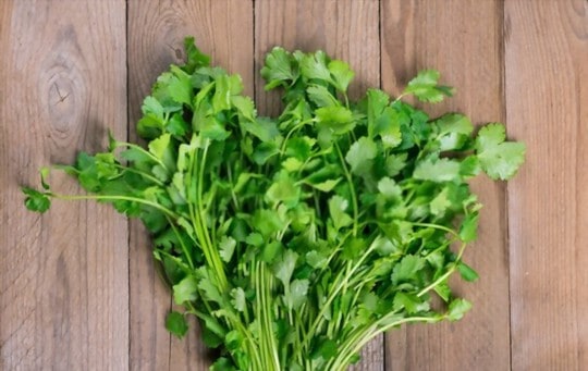 How Long Does Cilantro Last? Does it Go Bad?