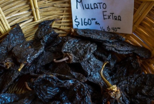 The 5 BEST Substitutes for Mulato Chiles