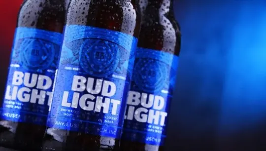 What Does Bud Light Taste Like? Does it Taste Good?