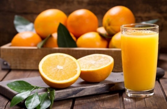 Orange vs Tangerine: What's the Difference?