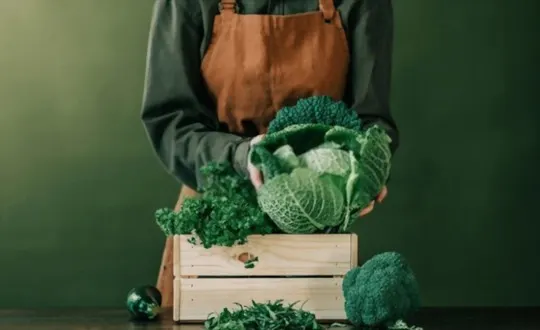 Savoy Cabbage vs Green Cabbage: What's the Difference?