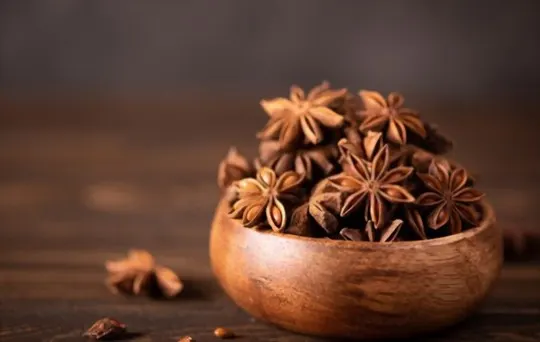 Anise vs Star Anise: Which is a Better Option?