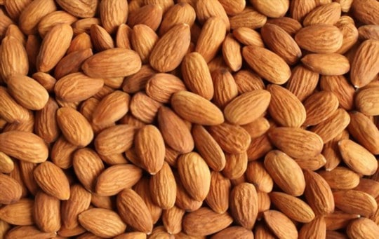 Apricot Kernels vs Almonds: Which is a Better Option?