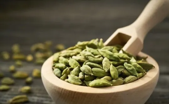 Black Cardamom Pods vs Green: Which is a Better Option?