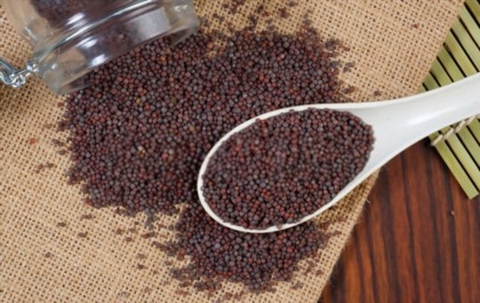Black Mustard Seeds vs Brown Mustard Seeds: What's the Difference?