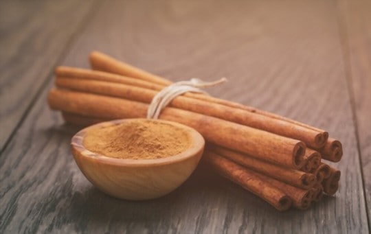 Cinnamon Cassia vs Cinnamon Bark: Which is a Better Option?