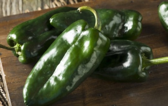 Poblano Peppers vs Bell Peppers: Which is a Better Option?