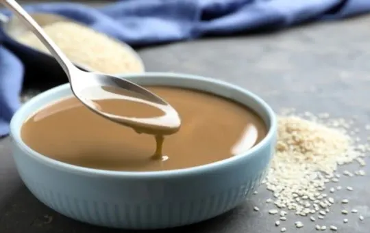 Sesame Paste vs Tahini: Which is a Better Option?