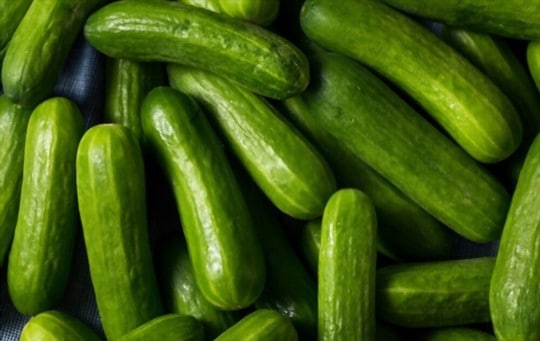 Mini Cucumbers vs Regular Cucumbers: What's the Difference?