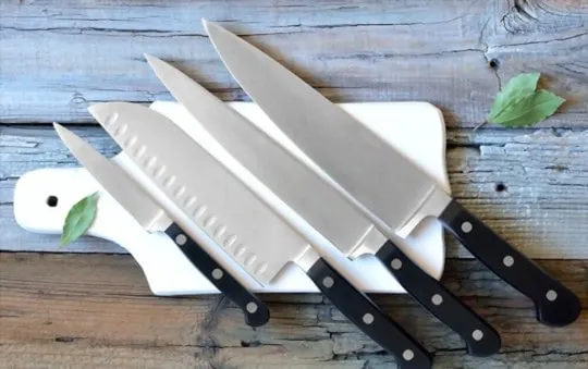 Miyabi Knives vs Shun Knives: What's the Difference?