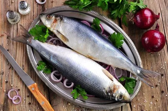 Anchovies vs Herring: What's the Difference?