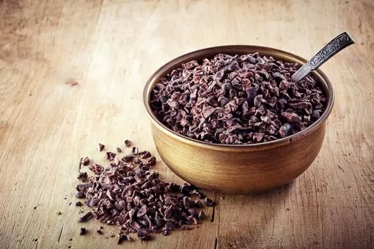 Cacao Nibs vs. Powder: What's the Difference?