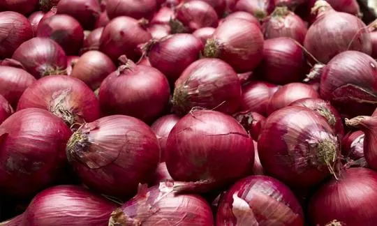 Purple Onion vs Red Onion: What's the Difference?