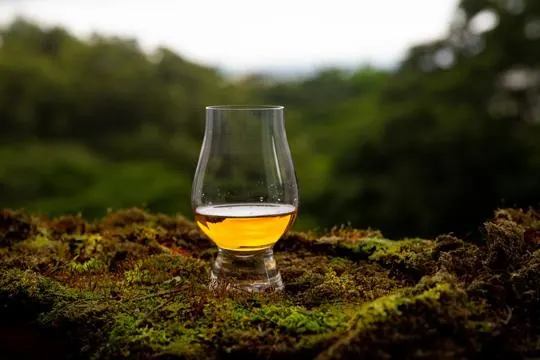 Irish Whiskey vs Scotch Whisky: What's the Difference?