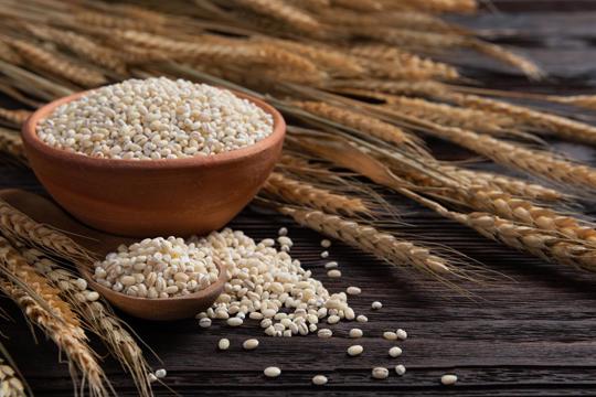 Barley vs Oatmeal: What's the Difference?