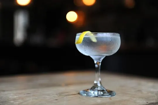 Gin Martini vs Vodka Martini: What's the Difference?