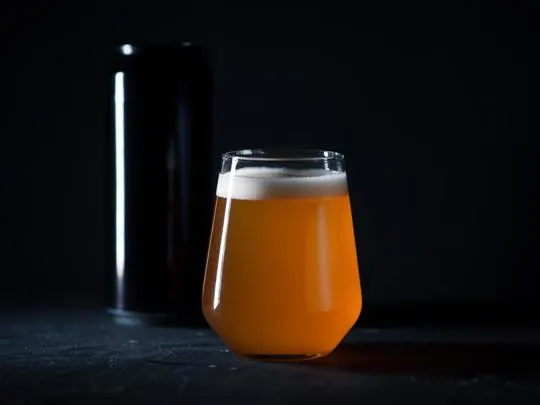 Gose vs Sour: What's the Difference?