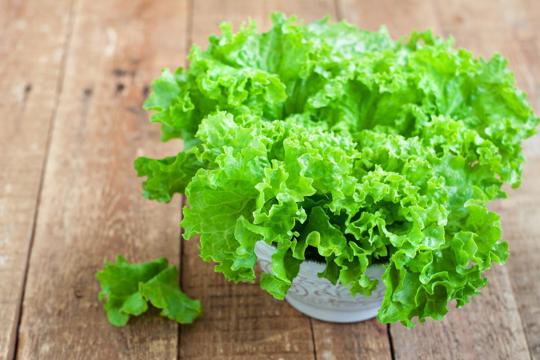 Green Leaf Lettuce vs Escarole: What's the Difference?