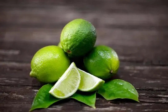 Lime vs Lemon: Which Should You Choose?