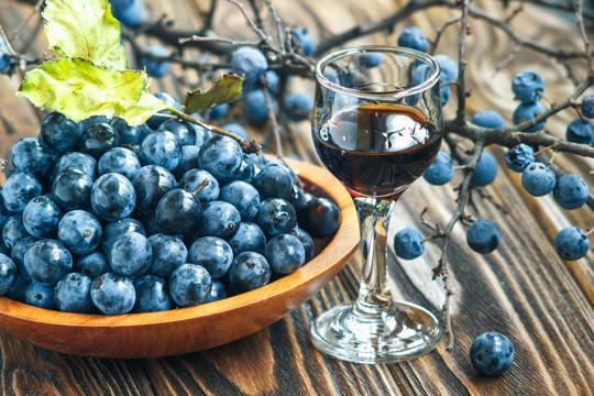 Sloe Gin vs Gin: What's the Difference?